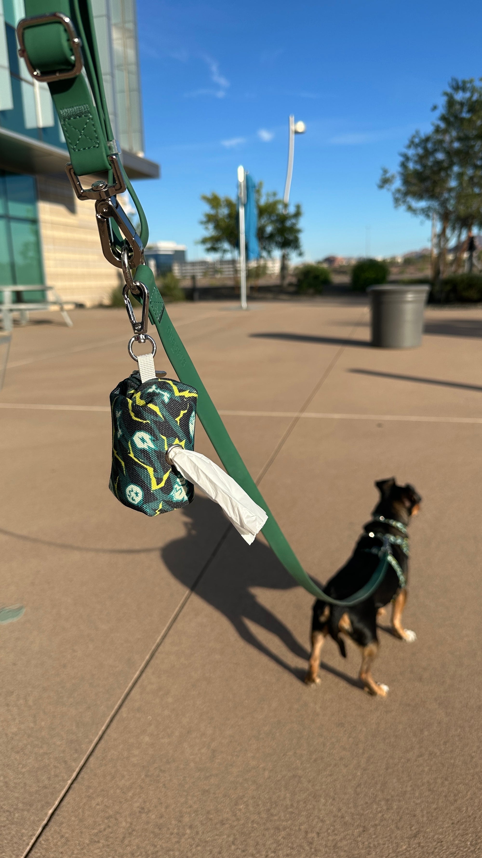 Zoomerang Complete 4 Piece Set