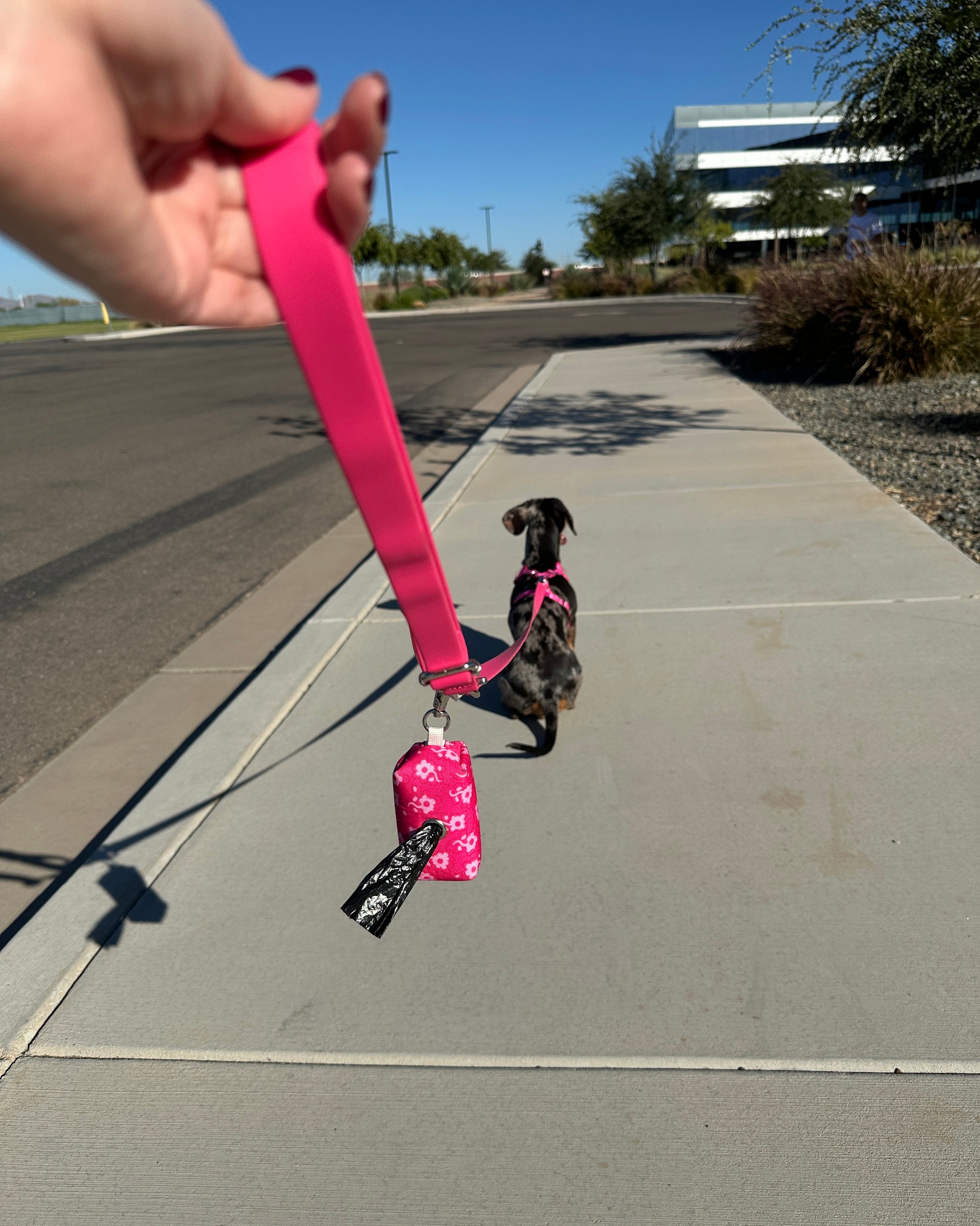 Pinkabloom Complete 4 Piece Set