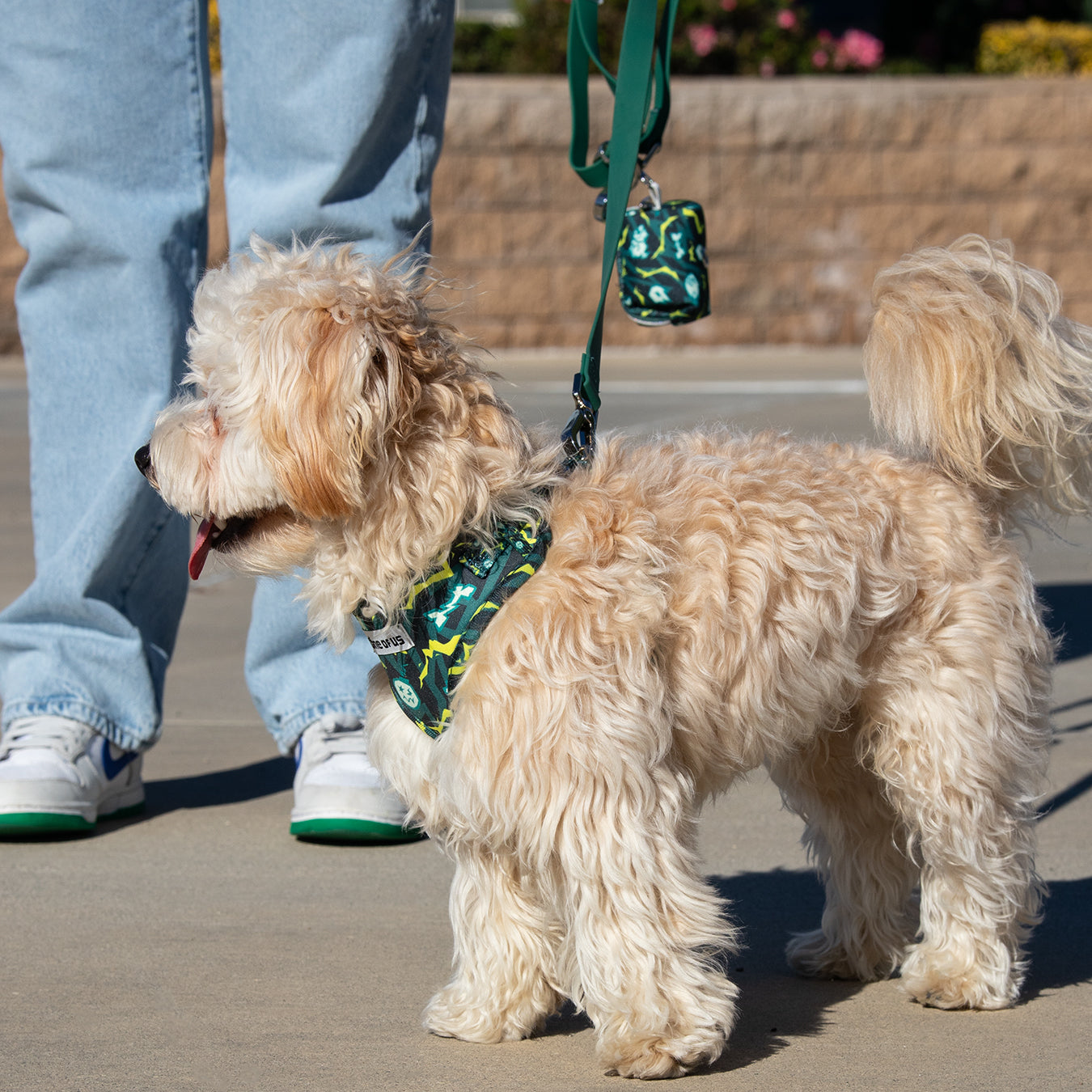 Zoomerang Harness Trio