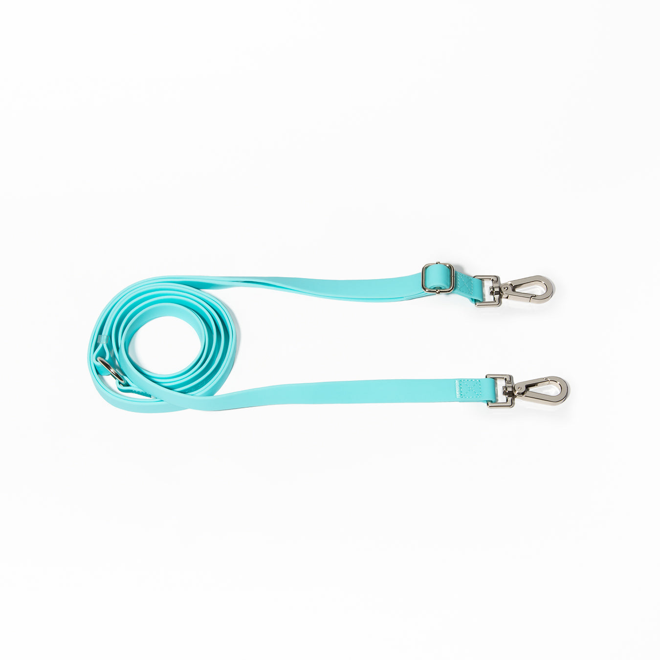 Every-Way Leash