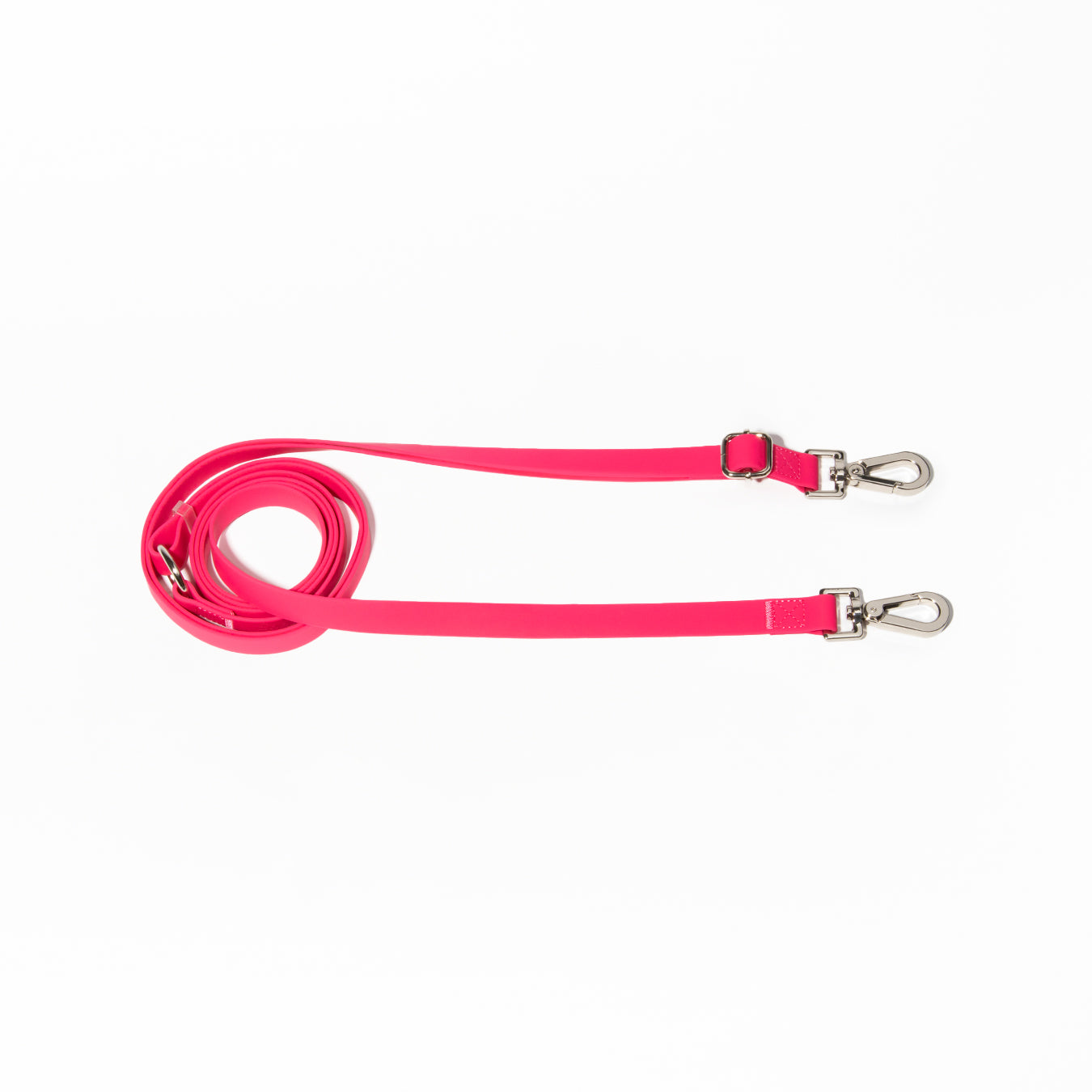 Every-Way Leash