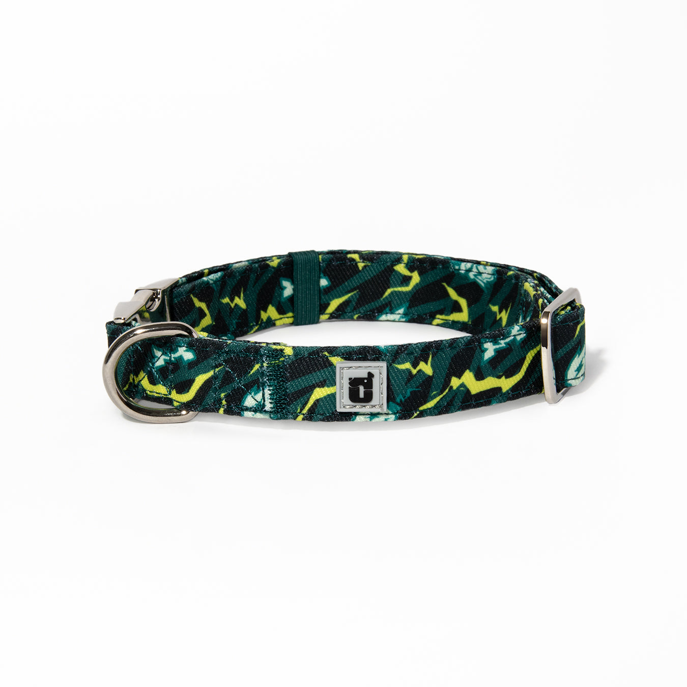 Zoomerang Dog Collar