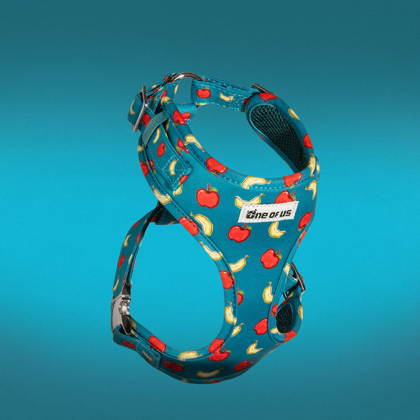 Banapples dog harness in teal with apple and banana print, front view