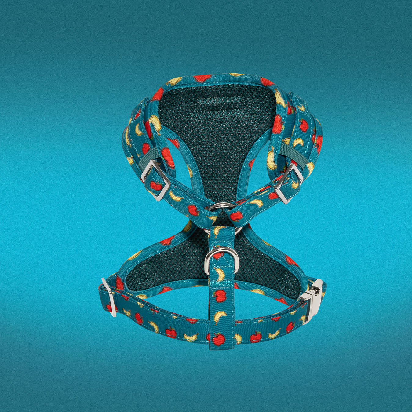 Banapples dog harness back view showing adjustable straps