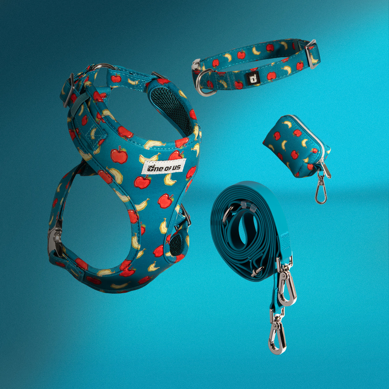 Banapples 4-piece dog walking set in teal apple and banana print