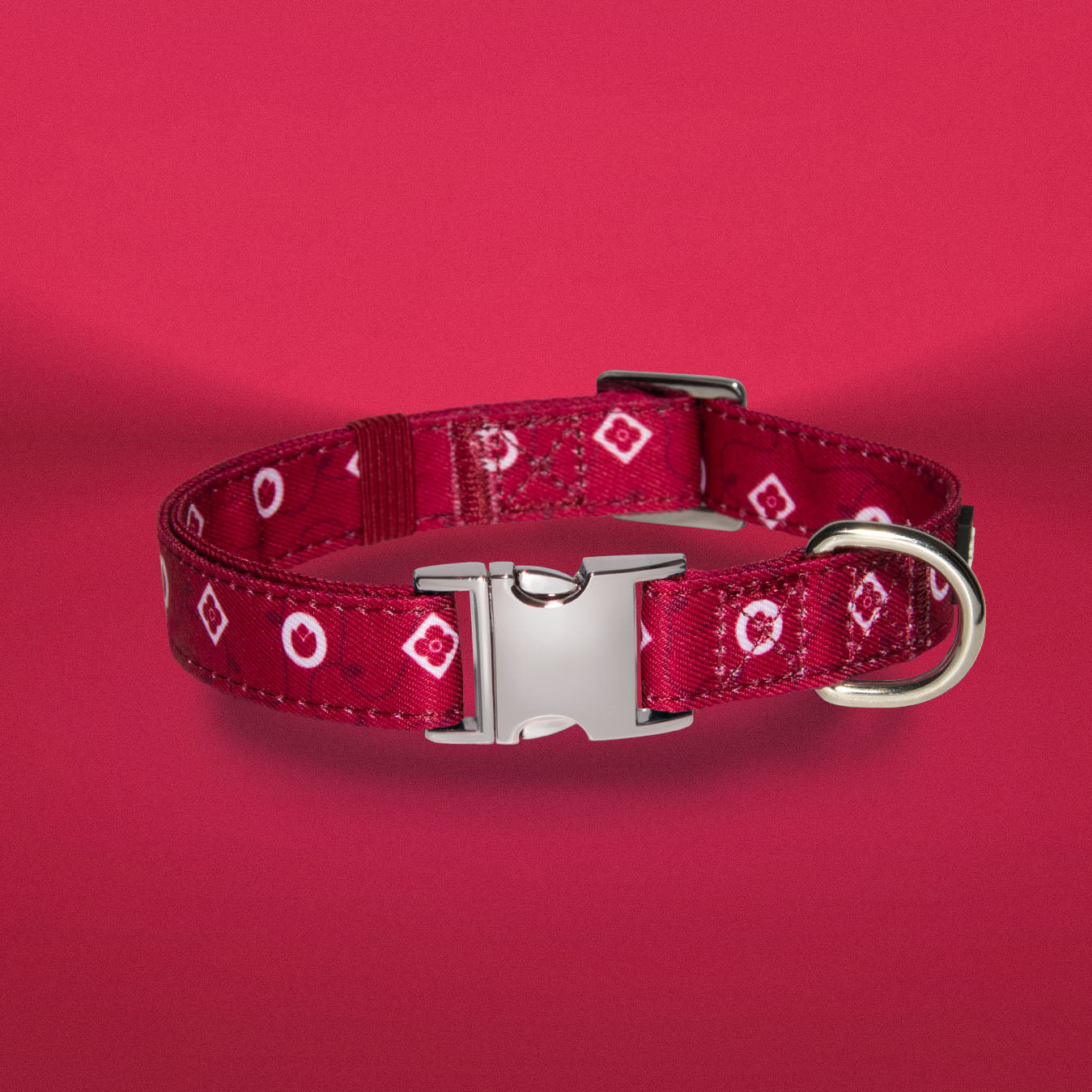 Dandy Dame walking set collar showing silver buckle and monogram print