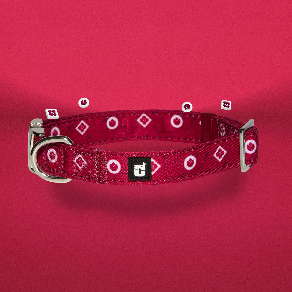Dandy Dame dog collar showing One of Us logo detail