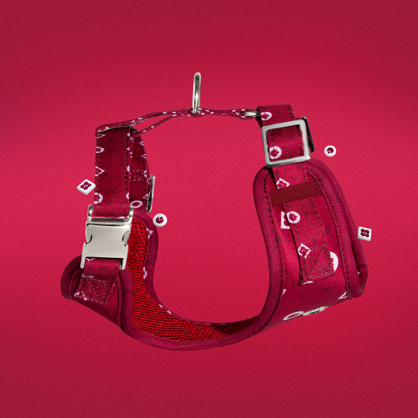 Dandy Dame dog harness showing adjustable straps and silver hardware detail