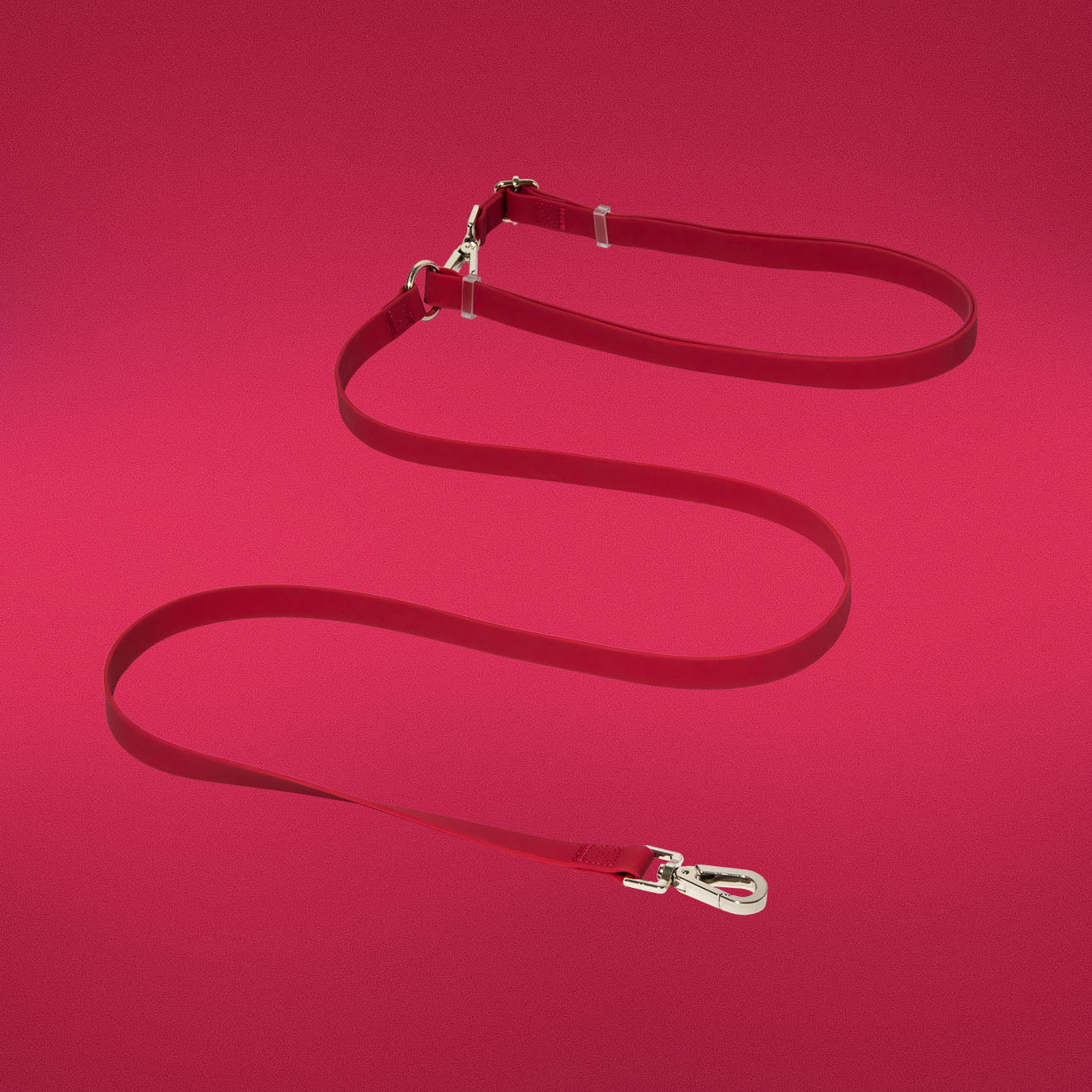 Dandy Dame walking set leash showing silver hardware