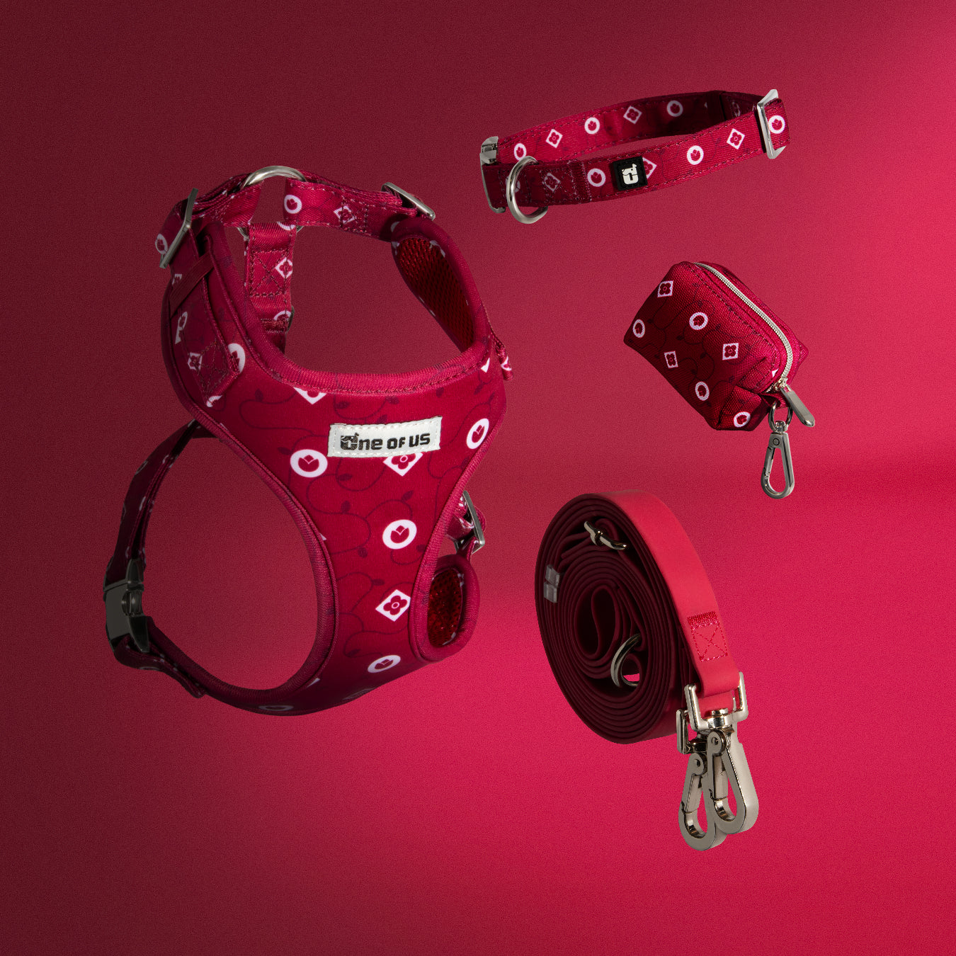 Dandy Dame 4-piece dog walking set laid flat showing all pieces in crimson monogram