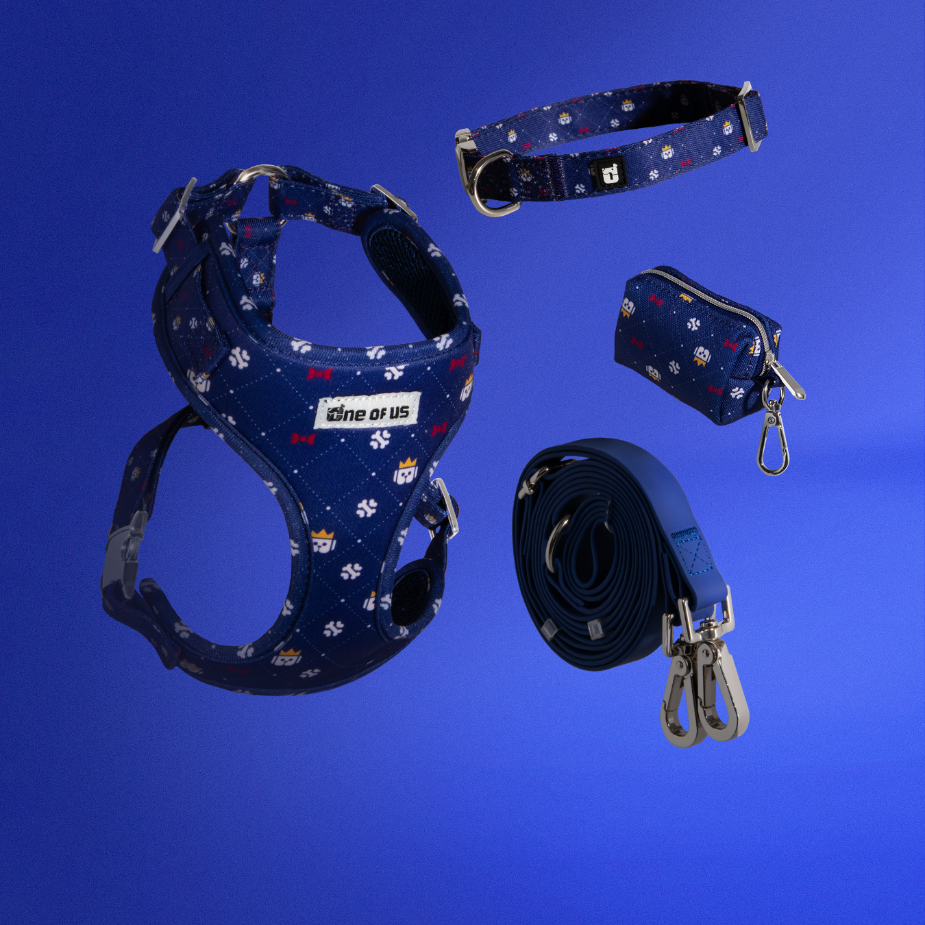 Dapper Dude 4-piece dog walking set in navy crown print