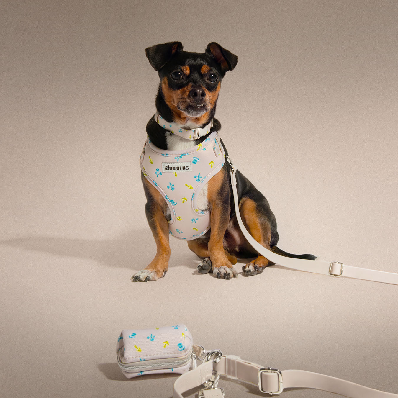 Mini Mushies leash as part of full beige mushroom print walking set lifestyle photo | One of Us