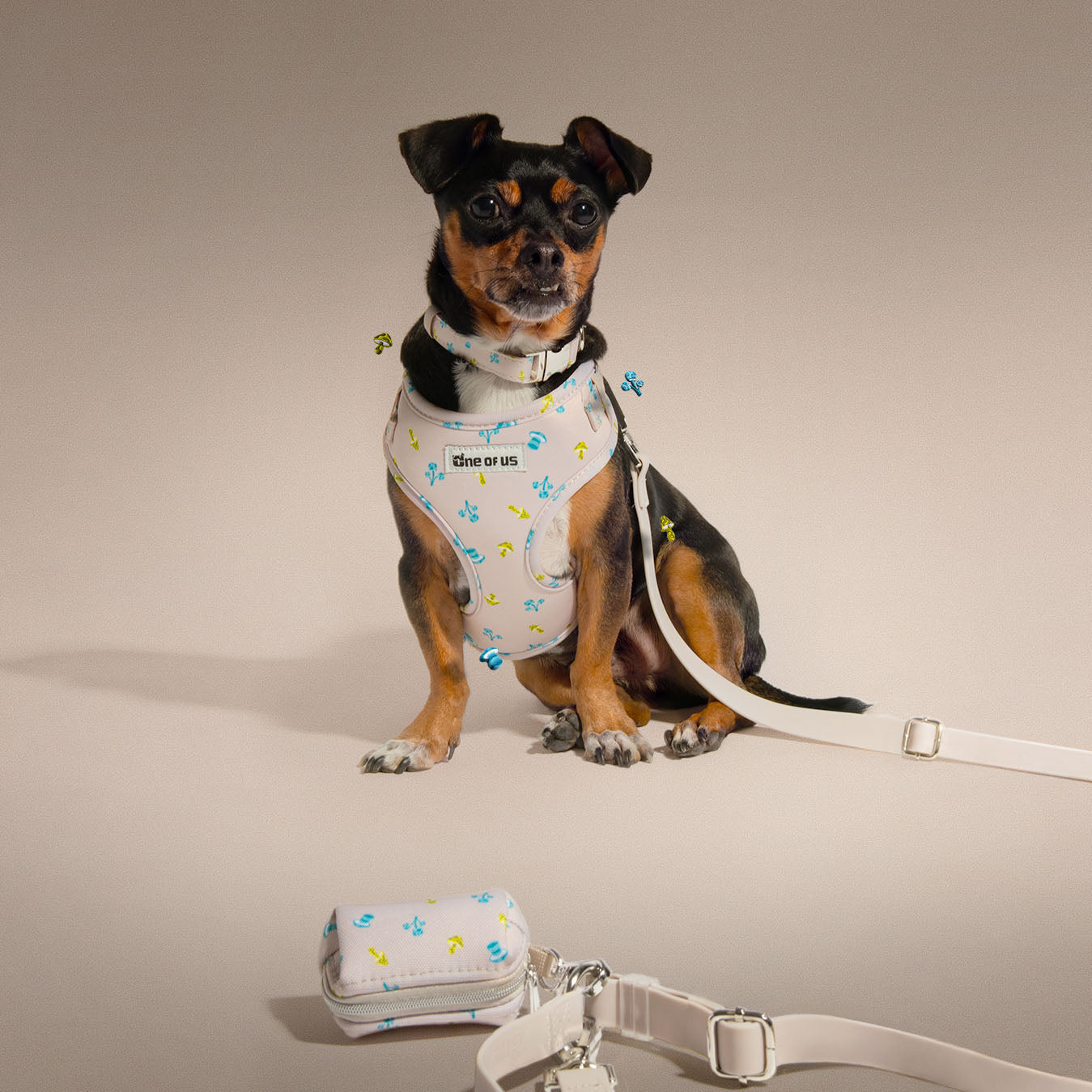 Mini Mushies walking set worn on dog in beige mushroom print | One of Us